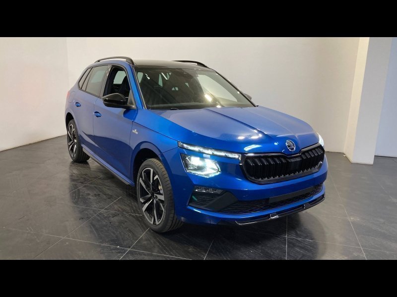 skoda - Visuel 0