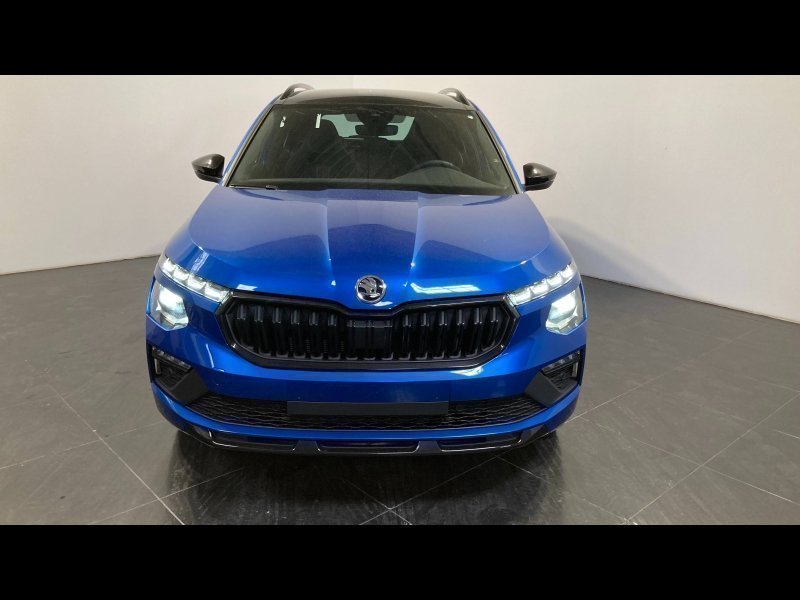 skoda - Visuel 1