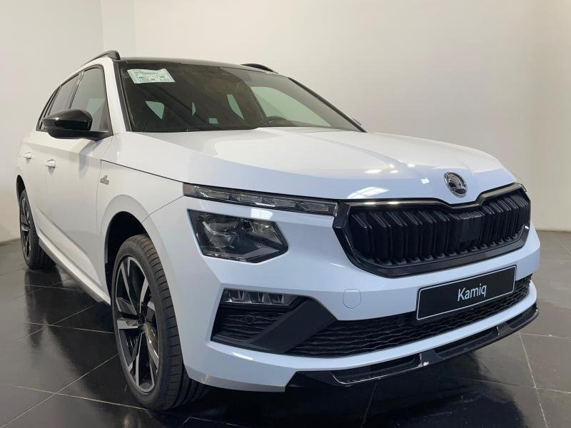 skoda - Visuel 1