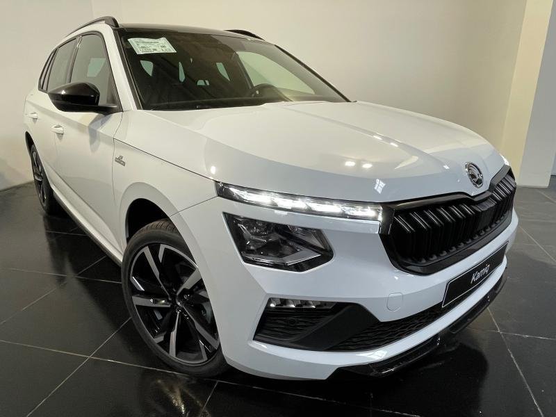skoda - Visuel 2