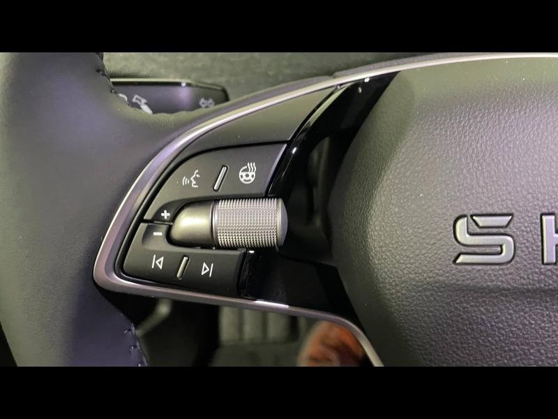 skoda - Visuel 19