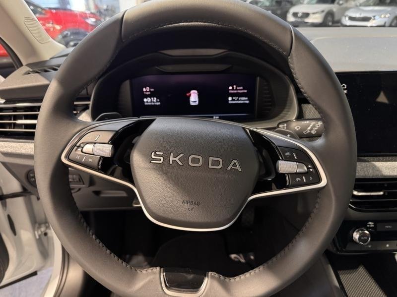 skoda - Visuel 7