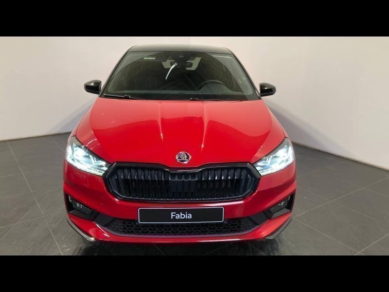 skoda - Visuel 1