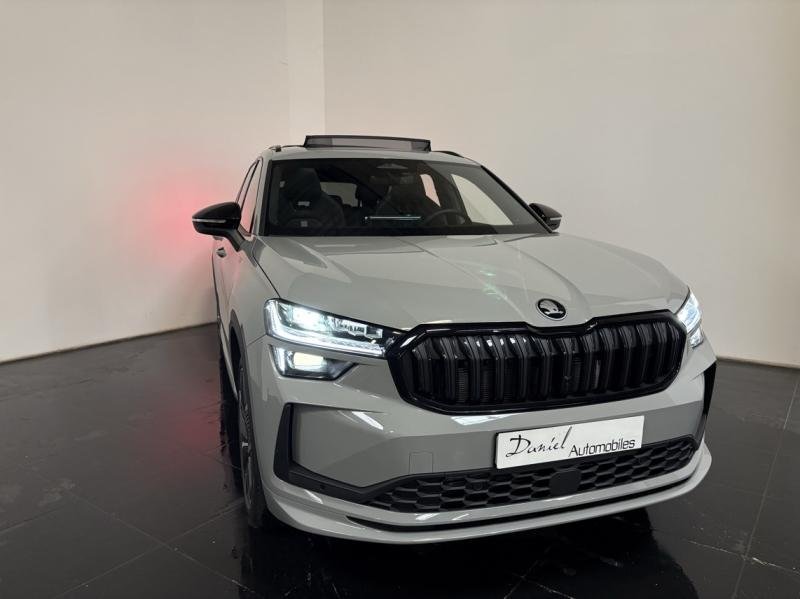 skoda - Visuel 1