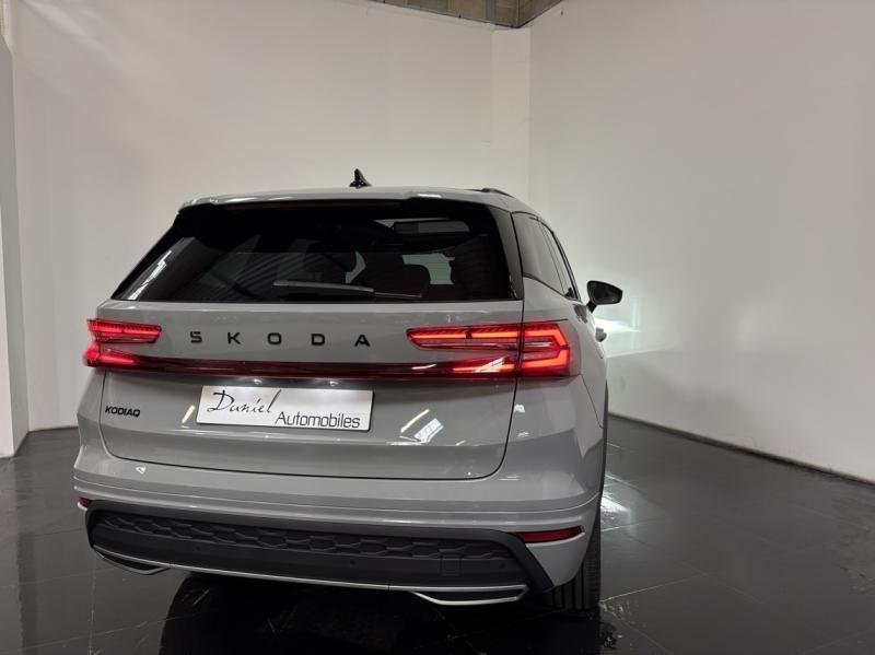 skoda - Visuel 9