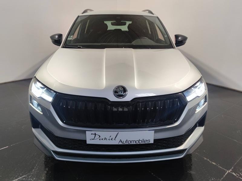 skoda - Visuel 1