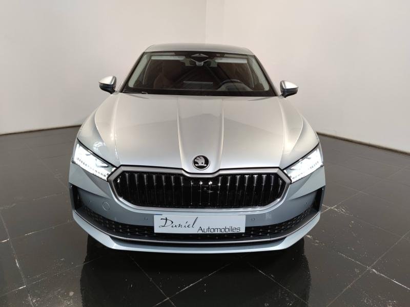 skoda - Visuel 1