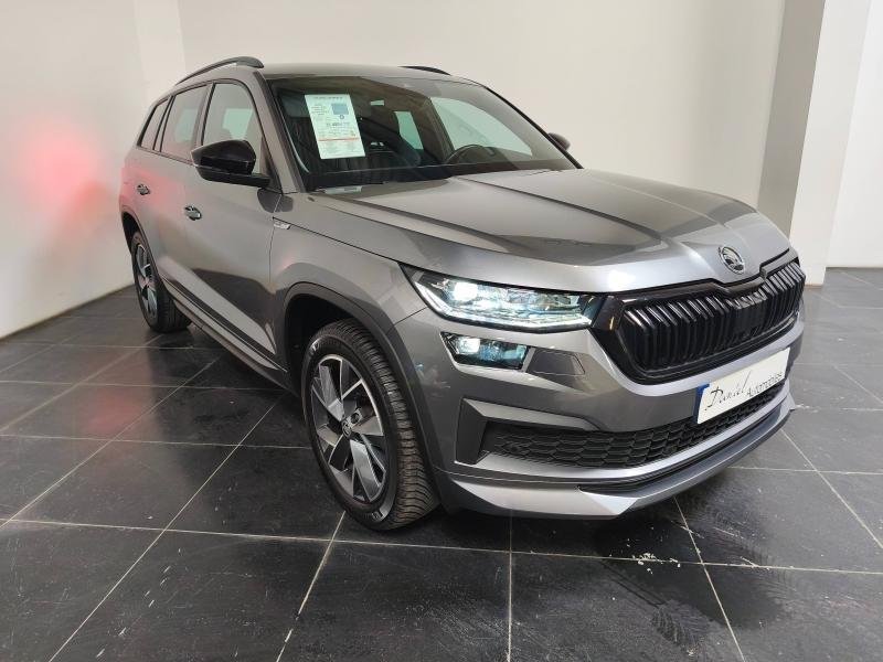 skoda - Visuel 0