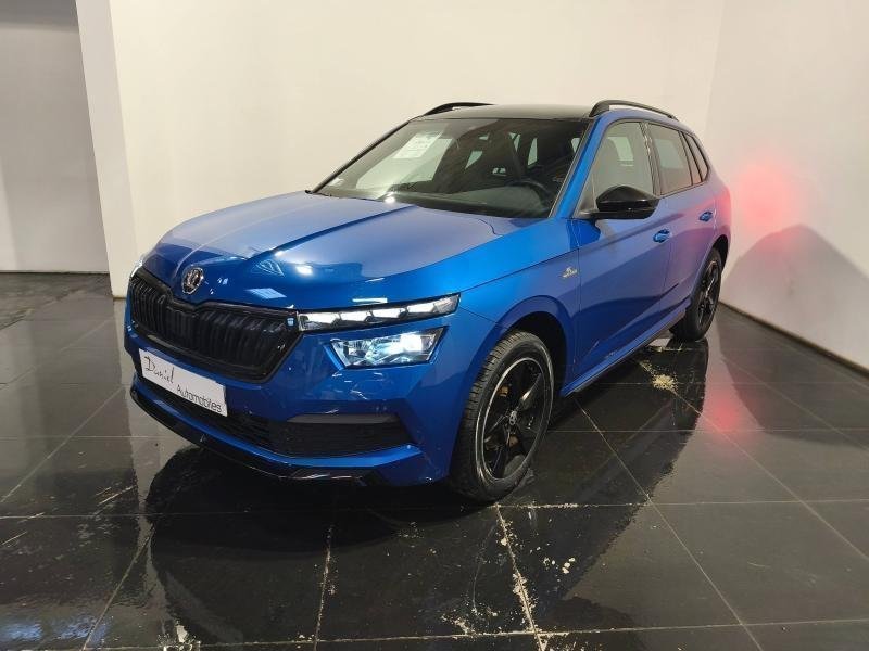 skoda - Visuel 2