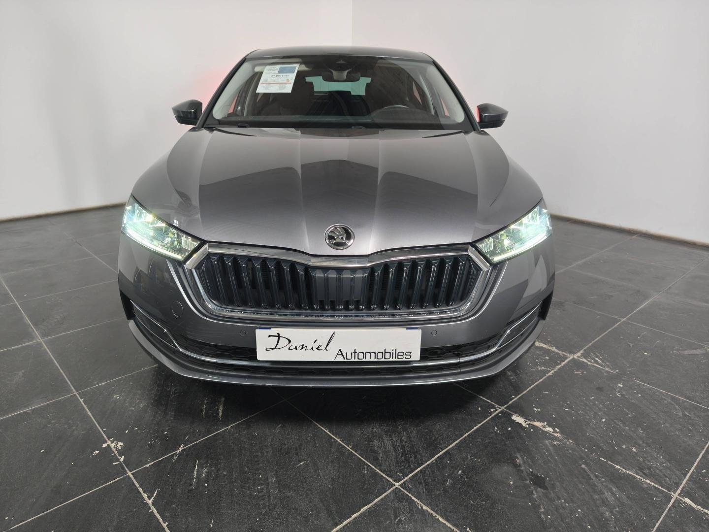 skoda - Visuel 1