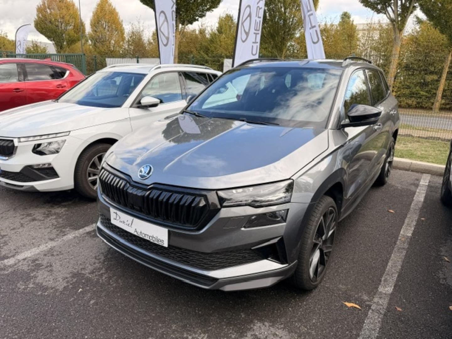 skoda - Visuel 0
