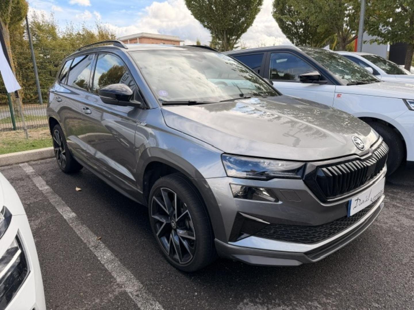 skoda - Visuel 2
