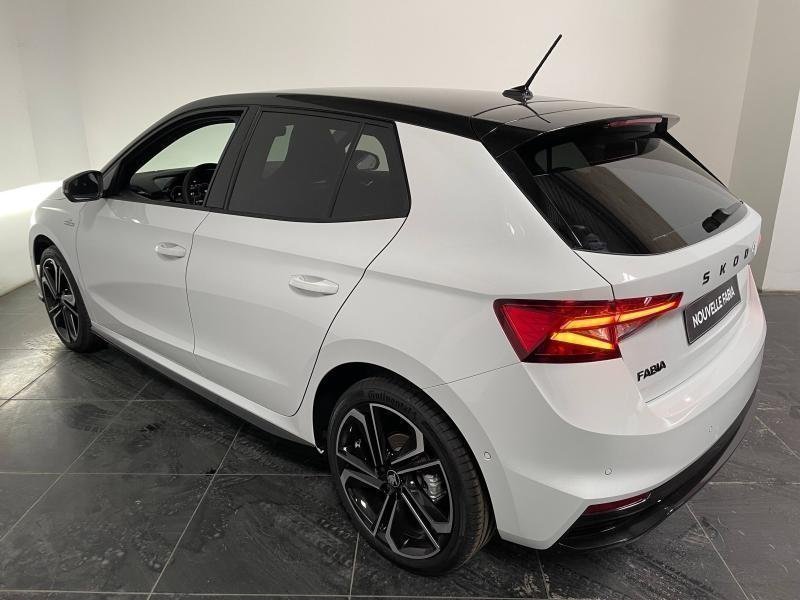 skoda - Visuel 5