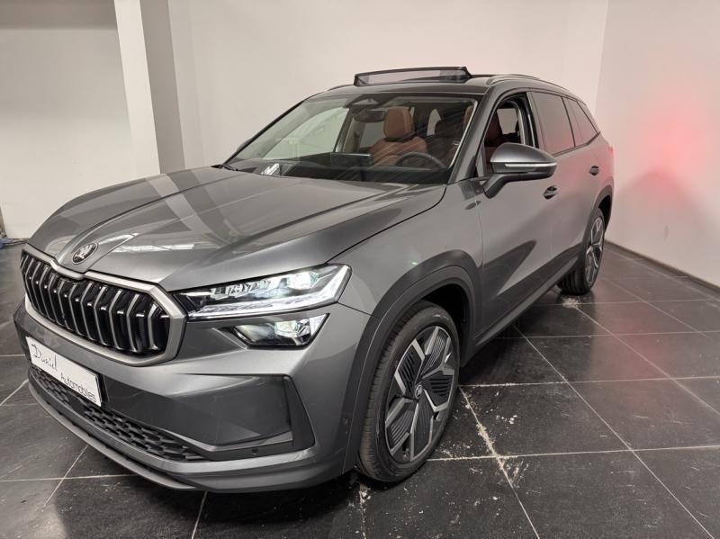 skoda - Visuel 0