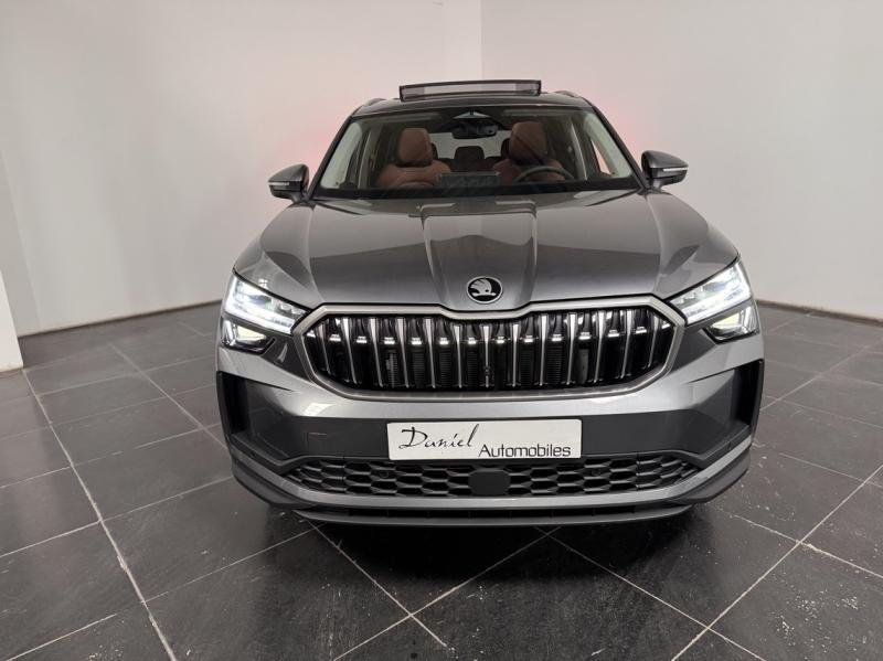 skoda - Visuel 1