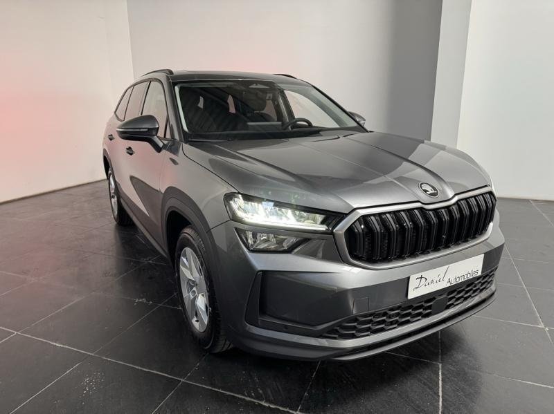 skoda - Visuel 2