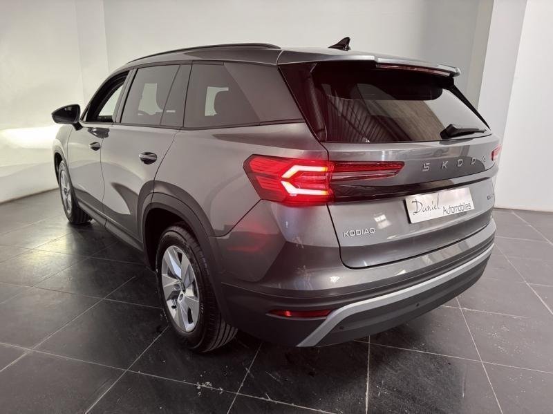 skoda - Visuel 5