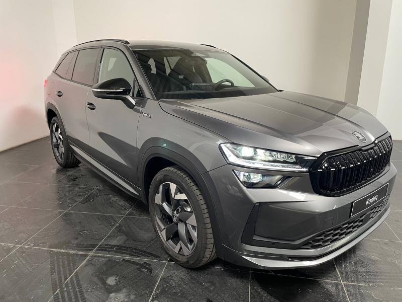 skoda - Visuel 0