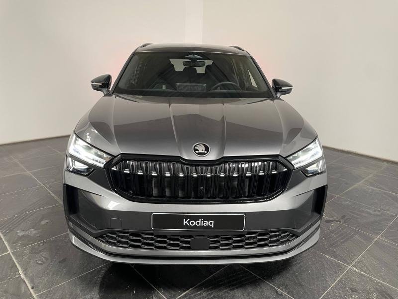 skoda - Visuel 1