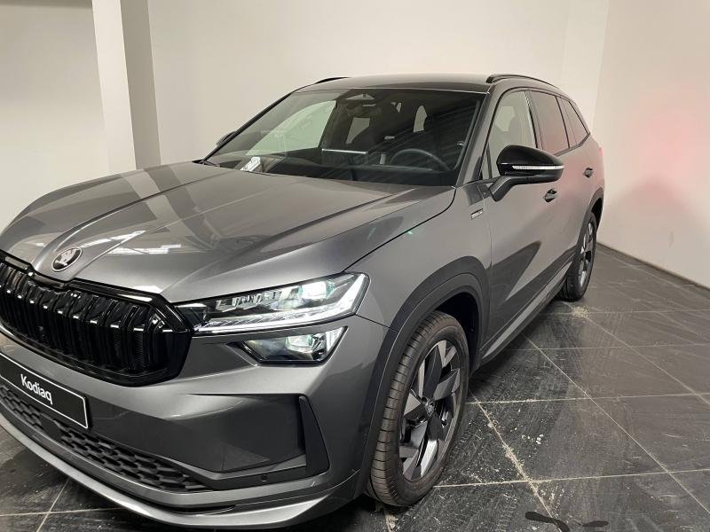 skoda - Visuel 2