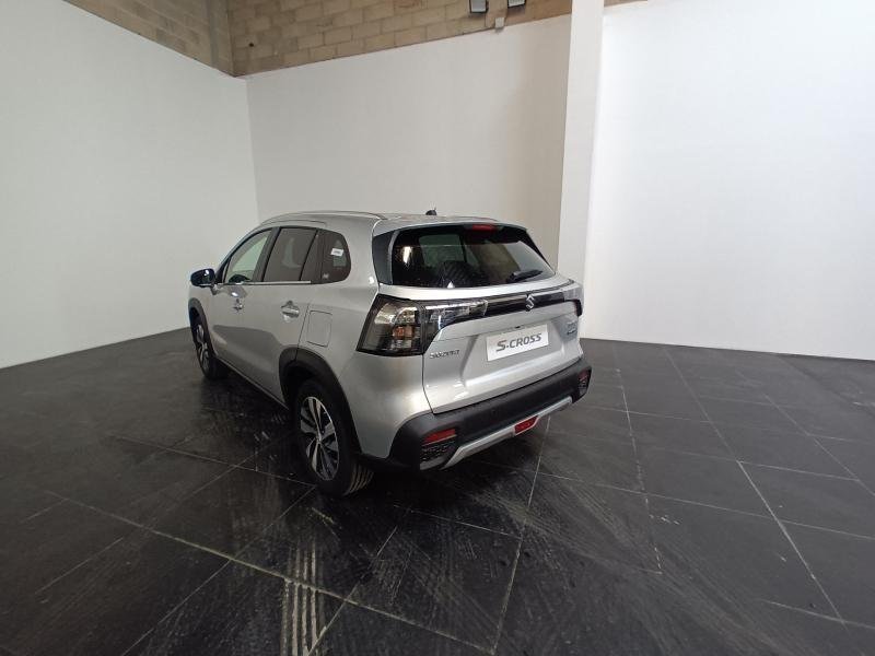 suzuki - Visuel 4