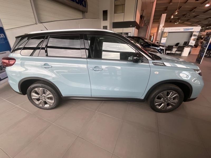 suzuki - Visuel 2
