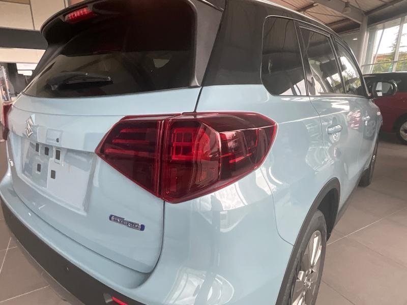 suzuki - Visuel 19