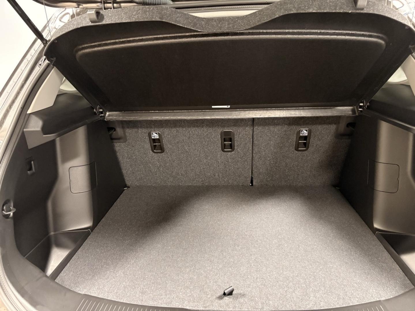 suzuki - Visuel 19