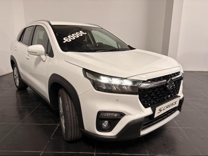 suzuki - Visuel 0