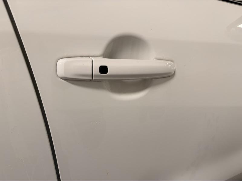 suzuki - Visuel 4