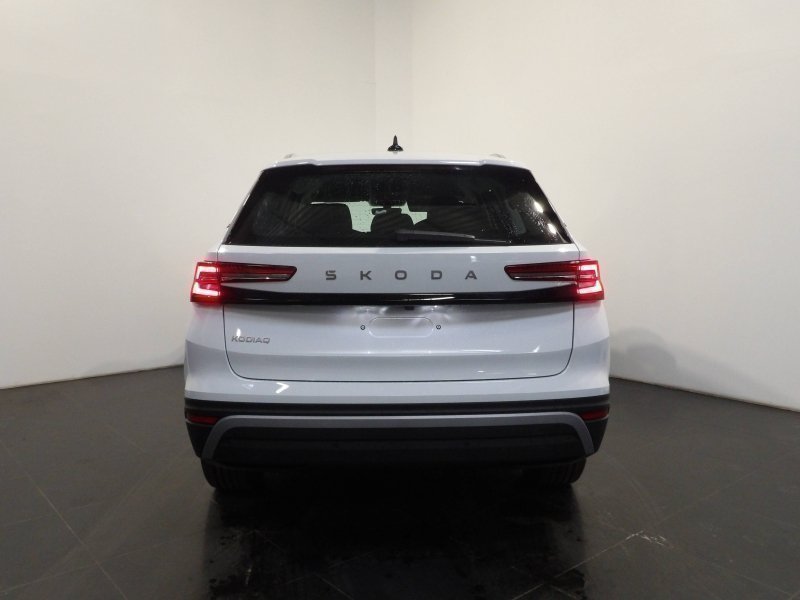 skoda - Visuel 4