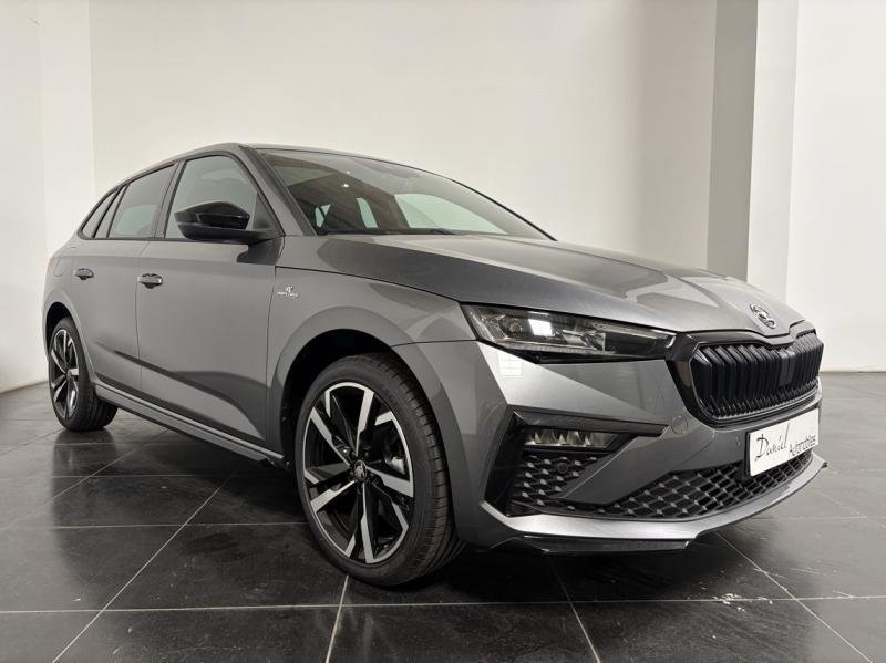 skoda - Visuel 0