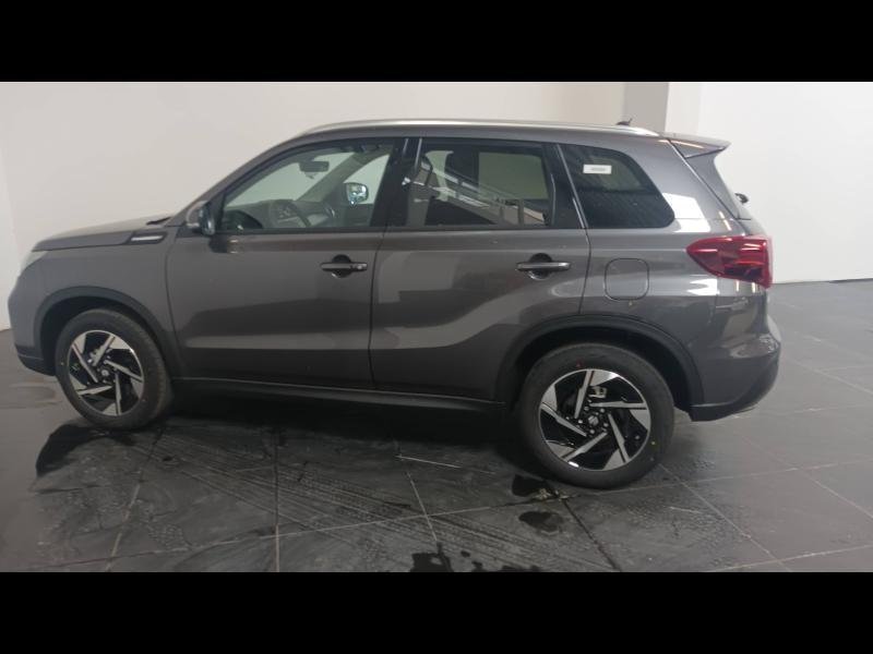 suzuki - Visuel 4