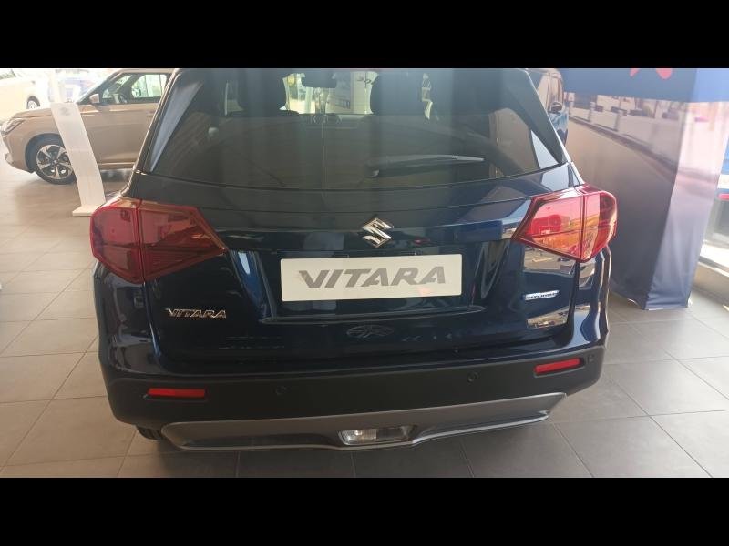 suzuki - Visuel 4