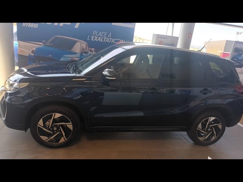 suzuki - Visuel 5