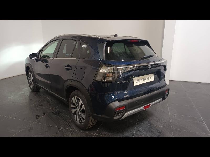 suzuki - Visuel 3