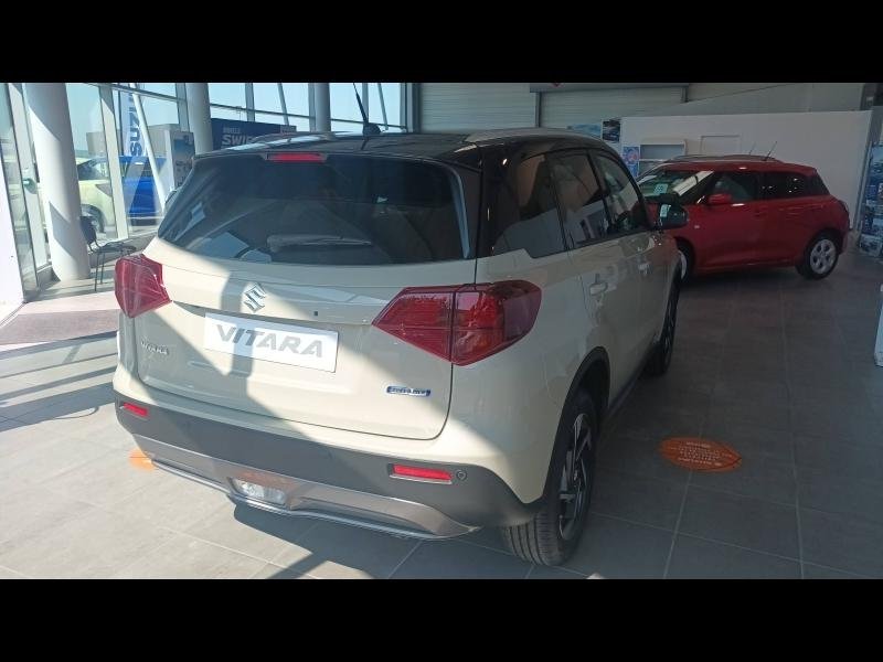 suzuki - Visuel 3