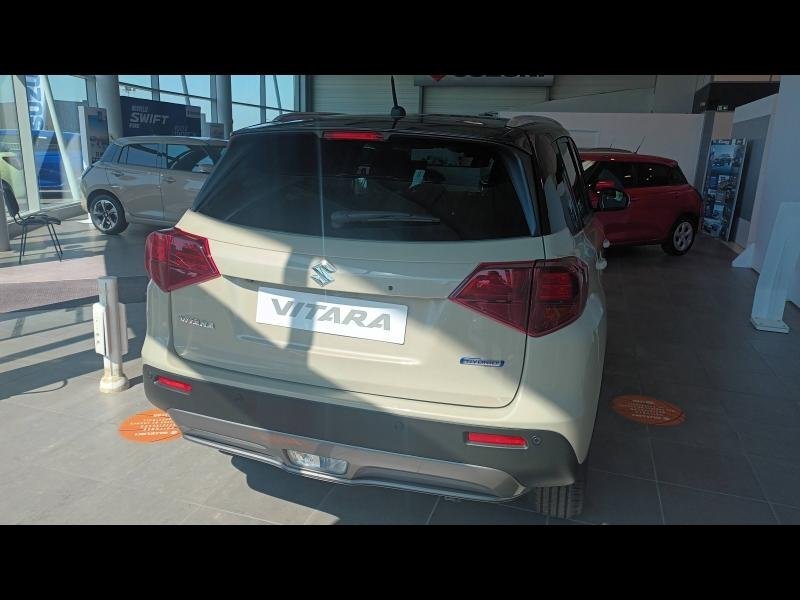 suzuki - Visuel 4