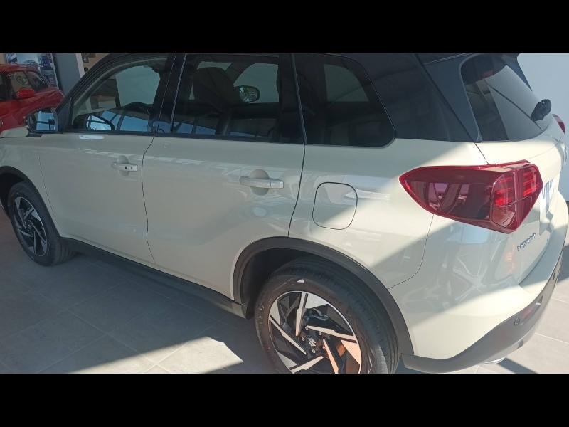 suzuki - Visuel 5