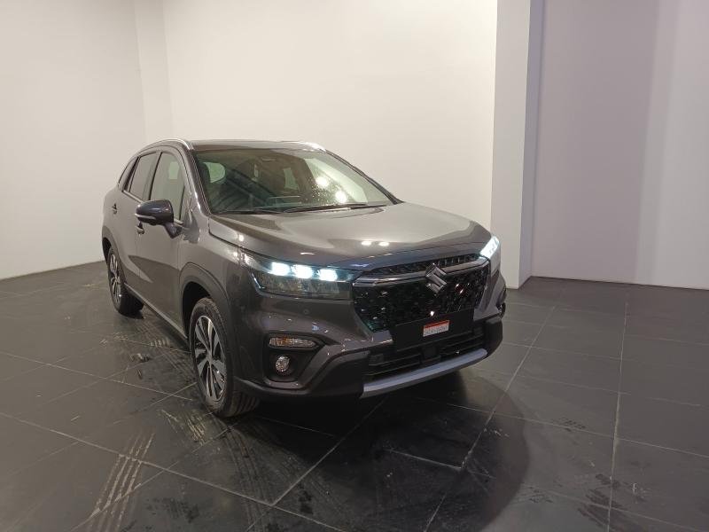 suzuki - Visuel 0