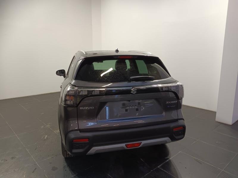 suzuki - Visuel 5