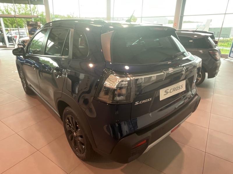 suzuki - Visuel 3