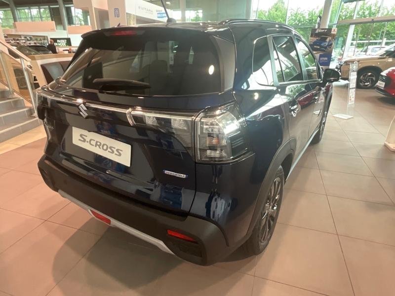 suzuki - Visuel 4